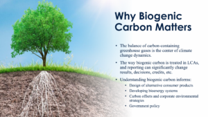 The way biogenic carbon is treated in LCAs can significantly change results. (Courtesy: SSC)