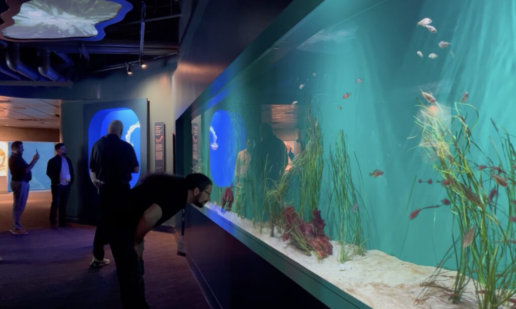 Jonathan Fox of Argus Systems explores an exhibit at the Aquarium of the Pacific during the 2026 CFSEI Expo in Long Beach, California. The aquarium visit gave attendees an opportunity to network and unwind following a full day of technical sessions.