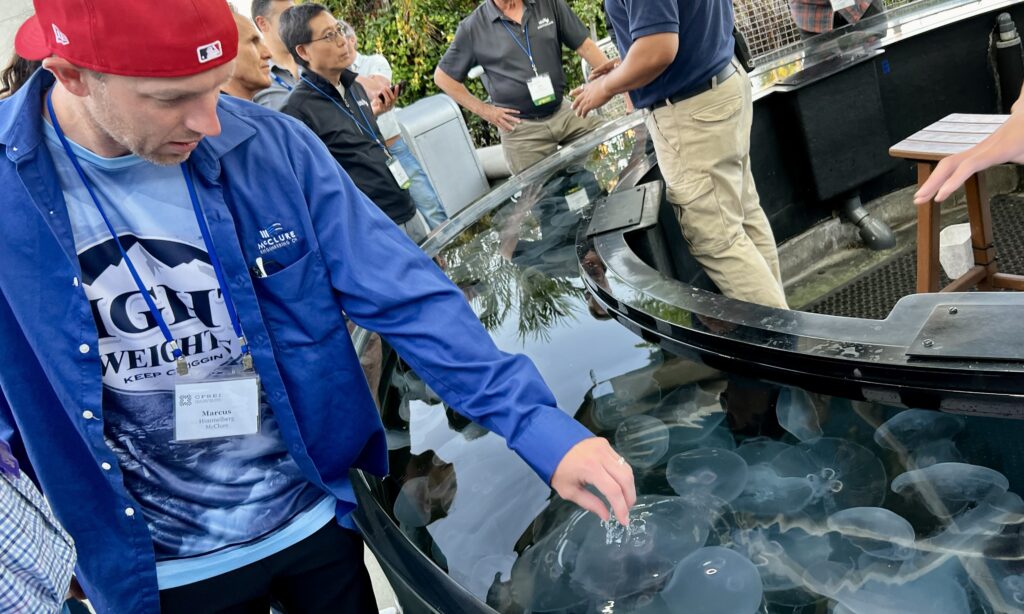 Marcus Himmelberg of McClure touches a jellyfish at the Aquarium of the Pacific in Long Beach, California. The aquarium visit gave CFSEI Expo attendees an opportunity to unwind and network.